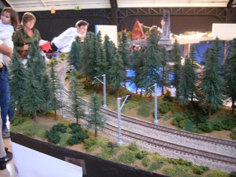 Foto_012.JPG